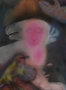 Interview with Jan Harrison by Brainard Carey